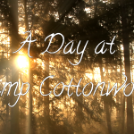 A Day at Camp Cottonwood
