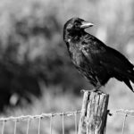 Can Dark Stories Be Uplifting? Part 4