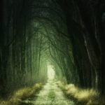 Creating a Stable Connection to Your Imagination